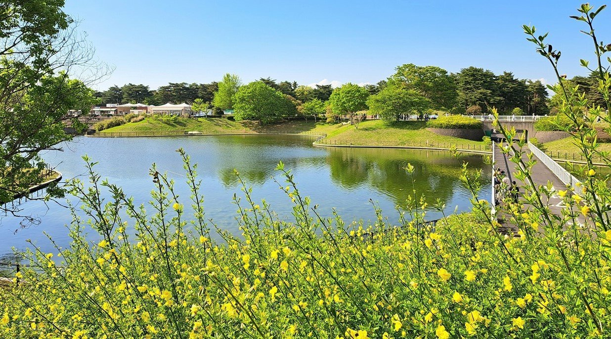 ひたち海浜公園